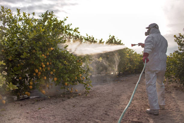 Pest Control Cost in Clute, TX