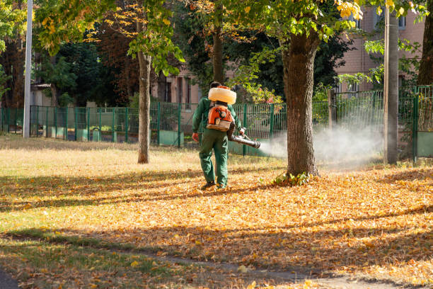 Pest Prevention Services in Clute, TX