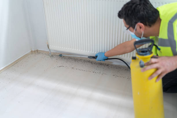 Best Pest Removal Services  in Clute, TX