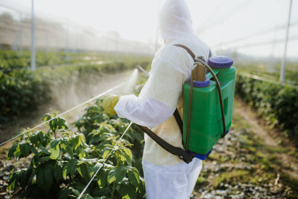 Clute, TX Pest Control Company